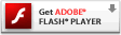  Adobe 
Flash Player